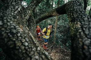 BIB: 
                            <button type="button" onclick="openModal(25392016)" class="btn btn-primary btn-sm float-right btn-popup" data-toggle="modal" data-target=".modal-high-quality">
                        <i class="fas fa-shopping-cart"></i> Add to Cart
                    </button>
                                            <button type="button" onclick="isThisMe(25392016, true)" class="btn btn-success btn-sm float-right btn-popup btn-isme hidden" data-toggle="tooltip" data-placement="bottom" title="นี่คือรูปของคุณใช่ไหม คลิกที่นี่เพื่อเอาเข้าอัลบั้ม">
                        <i class="fas fa-plus"></i> Add to album
                    </button>
                    <button type="button" onclick="isThisMe(25392016, false)" class="btn btn-warning btn-sm float-right btn-popup btn-isnotme hidden">
                        <i class="fas fa-ban"></i> Remove from album
                    </button>